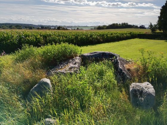 Vester Aaby jættestue (Burial Chamber)