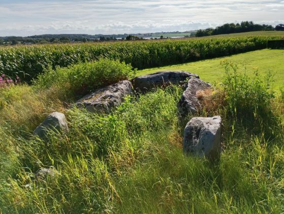 Vester Aaby jættestue (Burial Chamber)