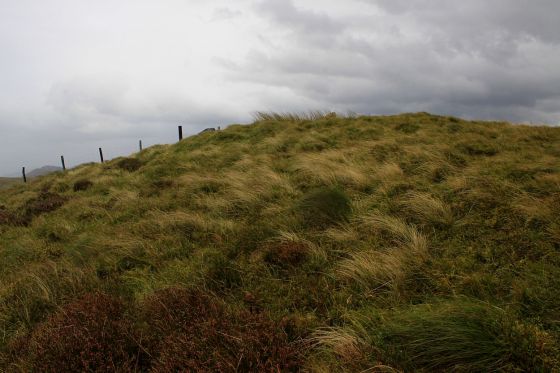 Pen Trum-Gwr, Y Tarenau (Round Barrow(s))