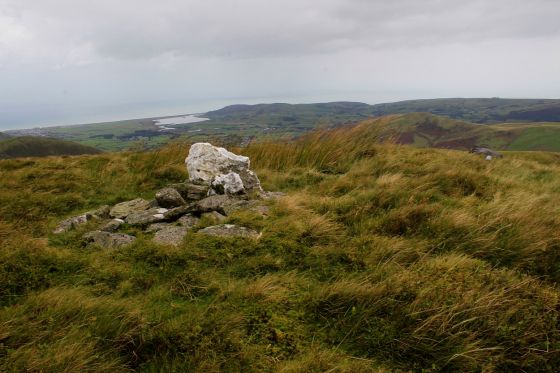 Pen Trum-Gwr, Y Tarenau (Round Barrow(s))