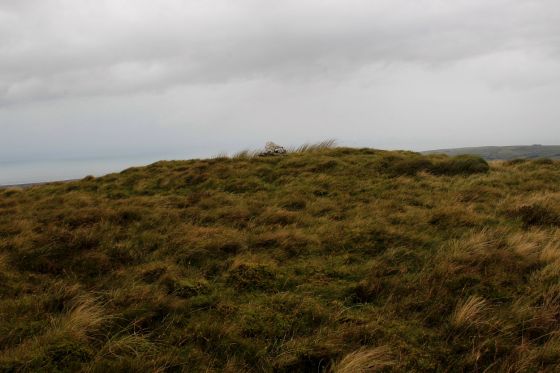 Pen Trum-Gwr, Y Tarenau (Round Barrow(s))
