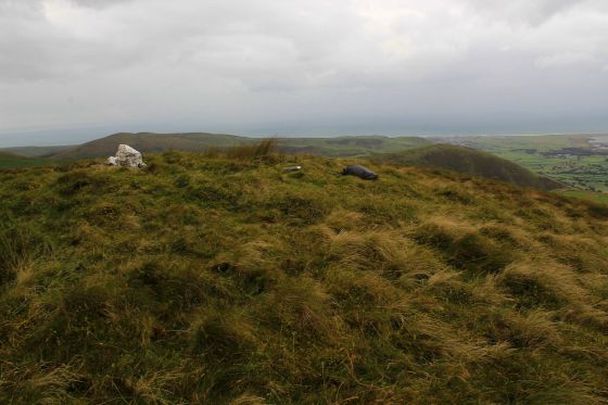 Pen Trum-Gwr, Y Tarenau (Round Barrow(s))