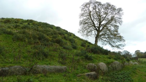 Dowth I (Passage Grave)