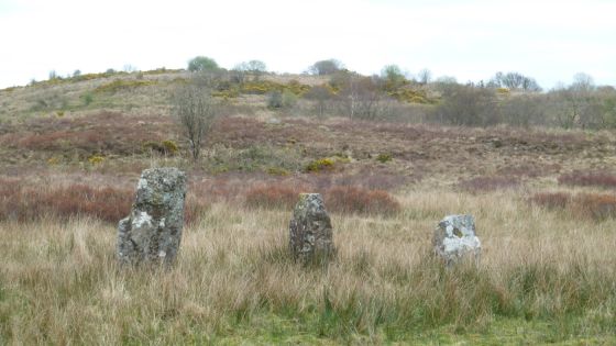 Montiaghroe – Stone Row West