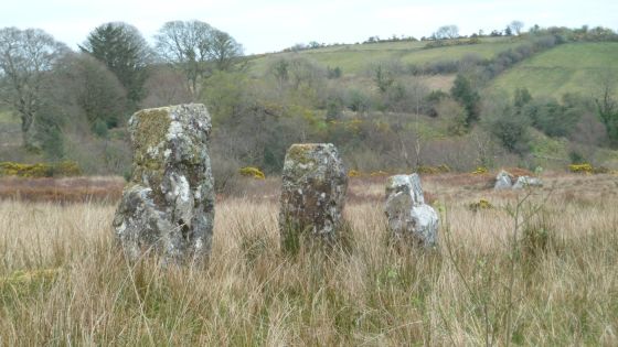 Montiaghroe – Stone Row West