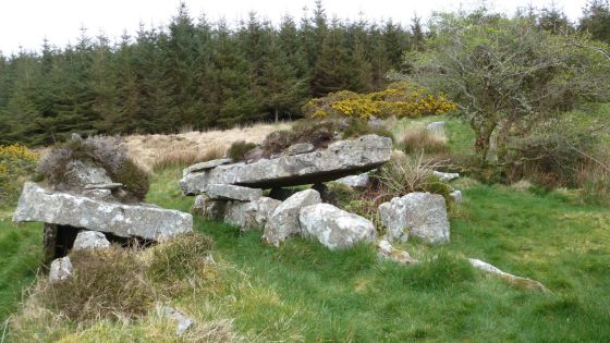 Cashel Town (Wedge Tomb)