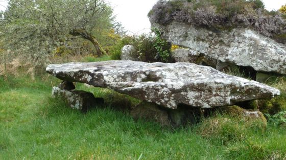 Cashel Town (Wedge Tomb)