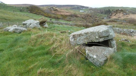 Farranmacbride (Court Tomb)