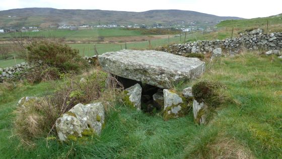 Farranmacbride (Court Tomb)