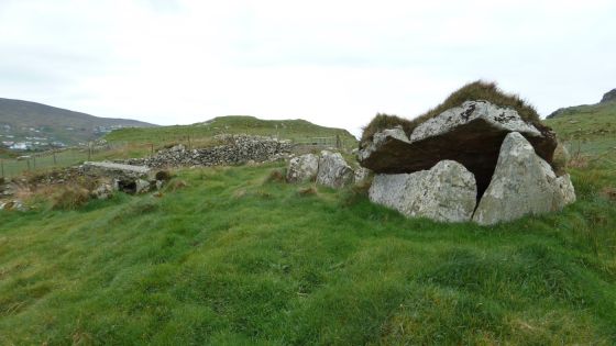 Farranmacbride (Court Tomb)