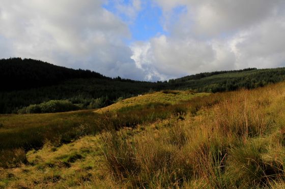 Moel Caws (South) (Round Cairn)