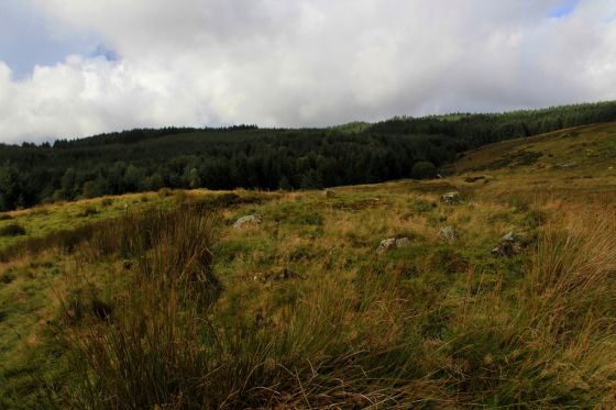 Moel Caws (South) (Round Cairn)