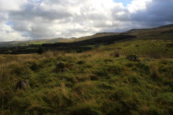 Moel Caws (South) (Round Cairn)