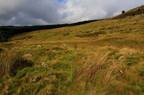 Moel Caws (South) (Round Cairn)