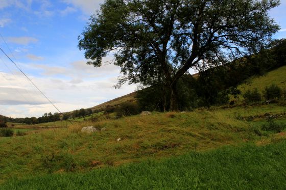 Pant Clyd (Cairn(s))
