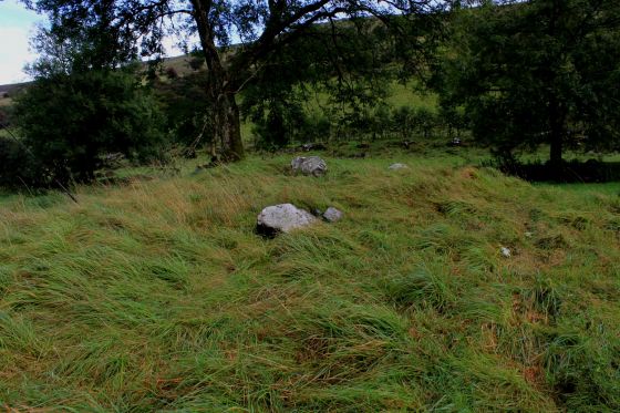 Pant Clyd (Cairn(s))