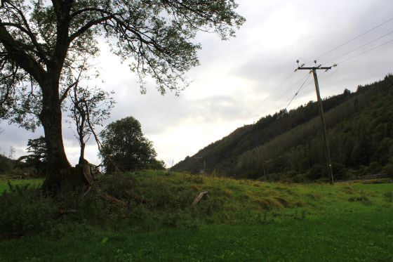 Pant Clyd (Cairn(s))