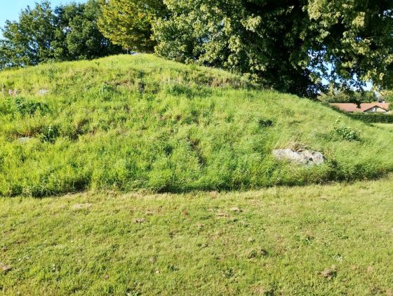 Rundhøj Vester Aaby (Artificial Mound)