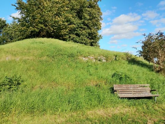 Rundhøj Vester Aaby (Artificial Mound)