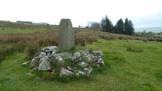 Aghascrebagh (Standing Stone / Menhir)