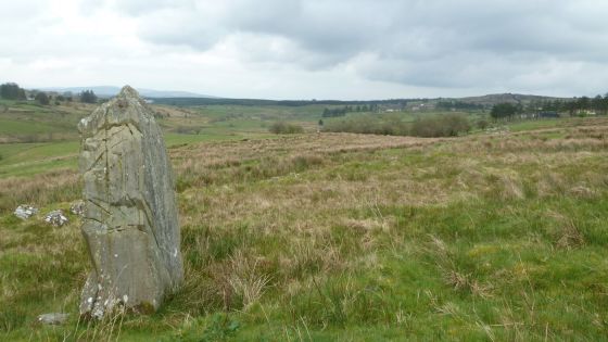 Aghascrebagh (Standing Stone / Menhir)