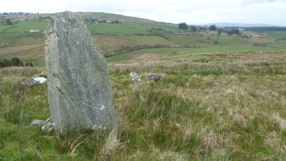 Aghascrebagh (Standing Stone / Menhir)