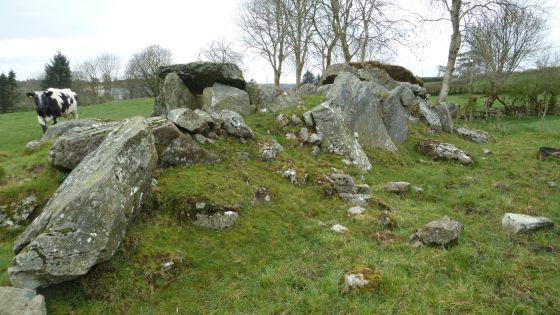 Dunnamore (Wedge Tomb)