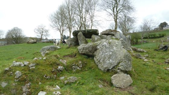 Dunnamore (Wedge Tomb)