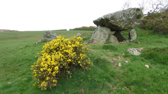 Altdrumman (Portal Tomb)