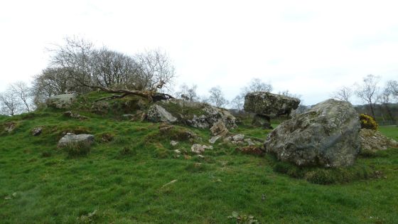 Altdrumman (Portal Tomb)