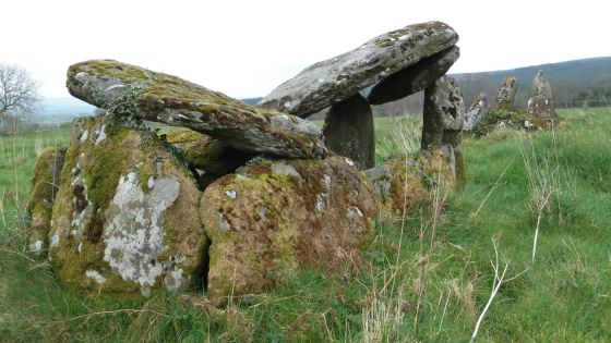 Ballyrenan (Portal Tomb)