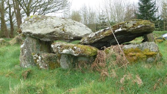 Ballyrenan (Portal Tomb)