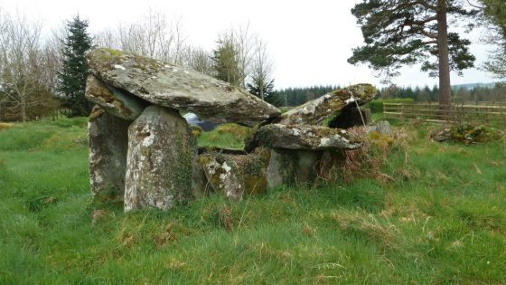 Ballyrenan (Portal Tomb)