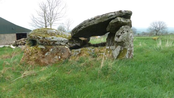 Ballyrenan (Portal Tomb)