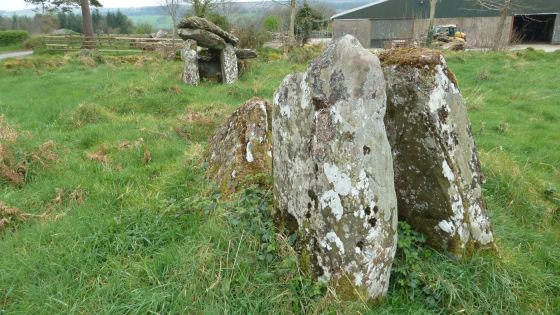 Ballyrenan (Portal Tomb)