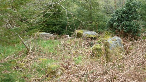 Doocashel Glebe (Chambered Tomb)