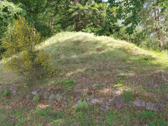 Gammel Hestehave, Høj frednr. 41175 (Artificial Mound)