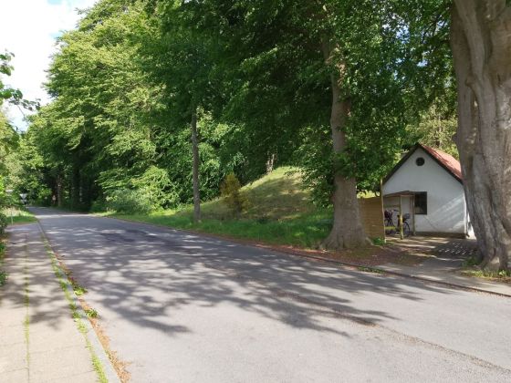 Gammel Hestehave, Høj frednr. 41175 (Artificial Mound)