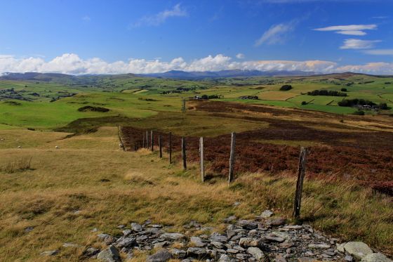 Mwdwl-Eithin (Llanfihangell Glyn Myfyr) (Cairn(s))