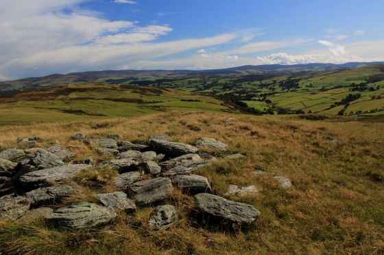 Mwdwl-Eithin (Llanfihangell Glyn Myfyr) (Cairn(s))