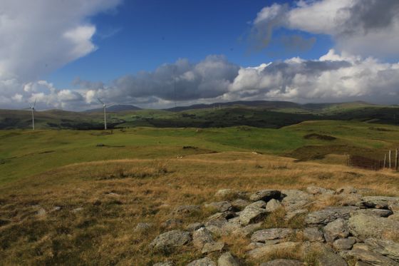 Mwdwl-Eithin (Llanfihangell Glyn Myfyr) (Cairn(s))
