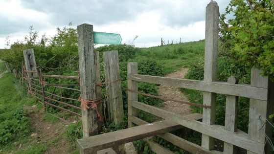 Stony Littleton (Long Barrow)