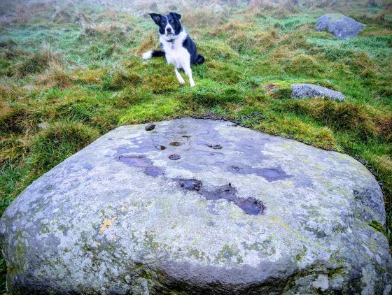 Buchanty Hill (Cup and Ring Marks / Rock Art)