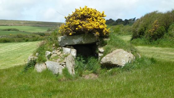 Brane (Entrance Grave)