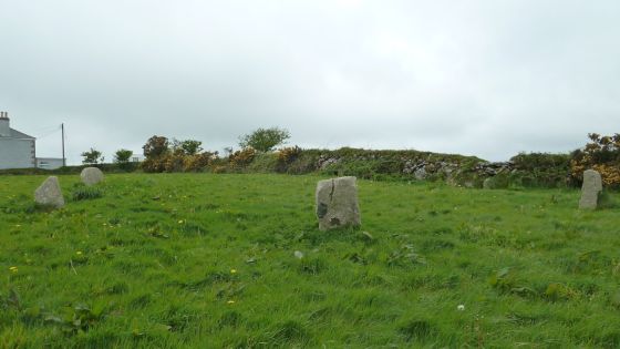 Nine Maidens (Troon) (Stone Circle)