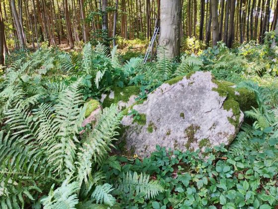 Ballen Rundhøj (Artificial Mound)