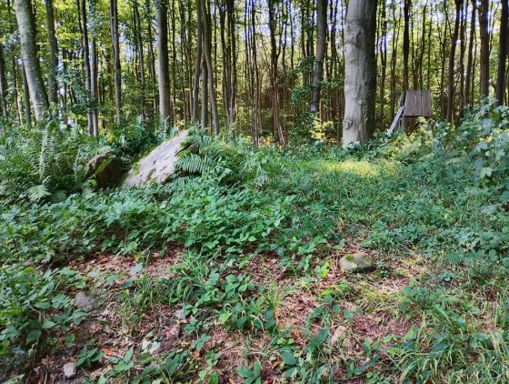 Ballen Rundhøj (Artificial Mound)