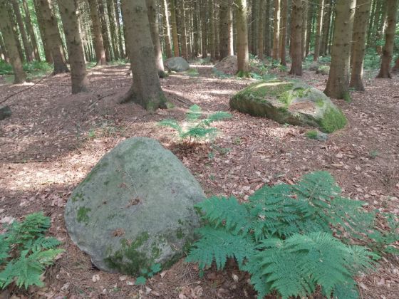 Græsholmene Langdysse