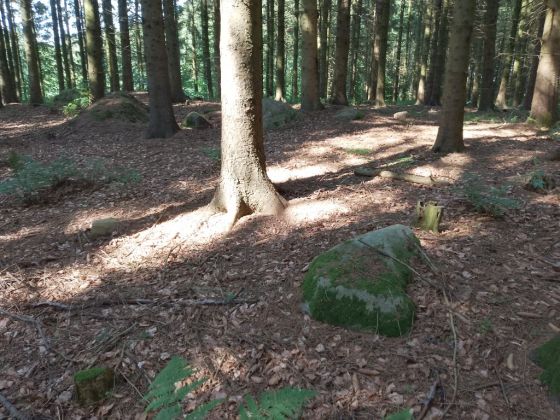 Græsholmene Langdysse