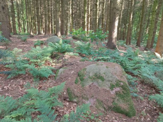 Græsholmene Langdysse